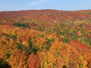 North Shore MN Fall Colors