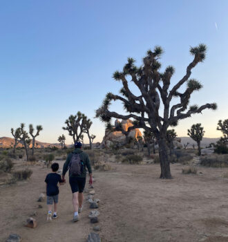 California National Parks Road Trip