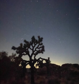California National Parks Road Trip Joshua Tree