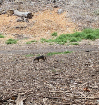 California National Parks Road Trip Channel Islands