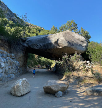 California National Parks Road Trip