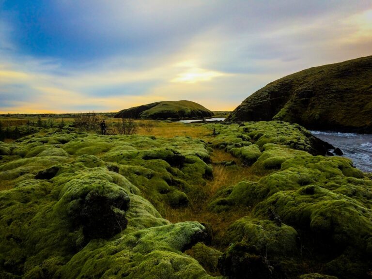 Money-saving travel tips for Iceland