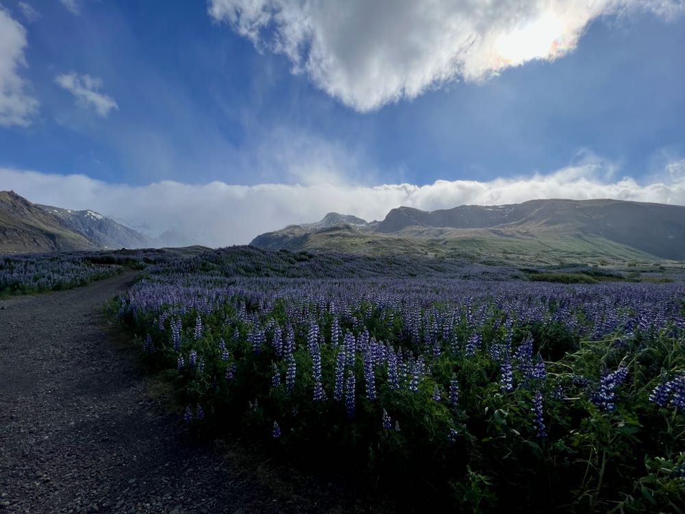 Visiting Iceland in June